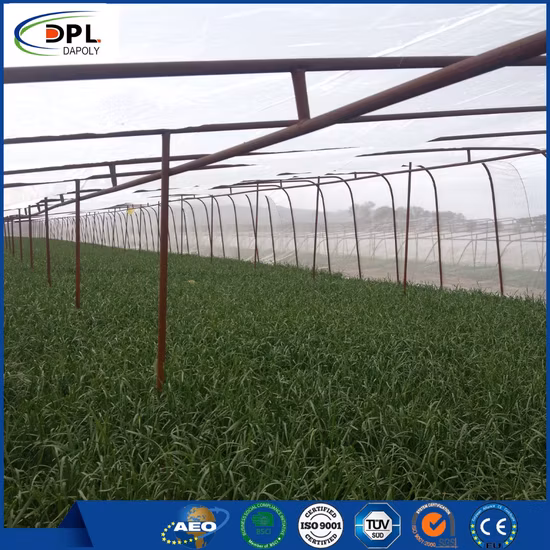 HDPE Packing Bag Mono Filament Tubular Mesh Net Bag for Onion Fruit Vegetable